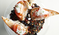 4850円のコース 料理写真